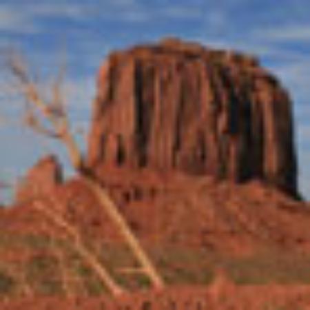 La Salsa Fresh Mexican Grill